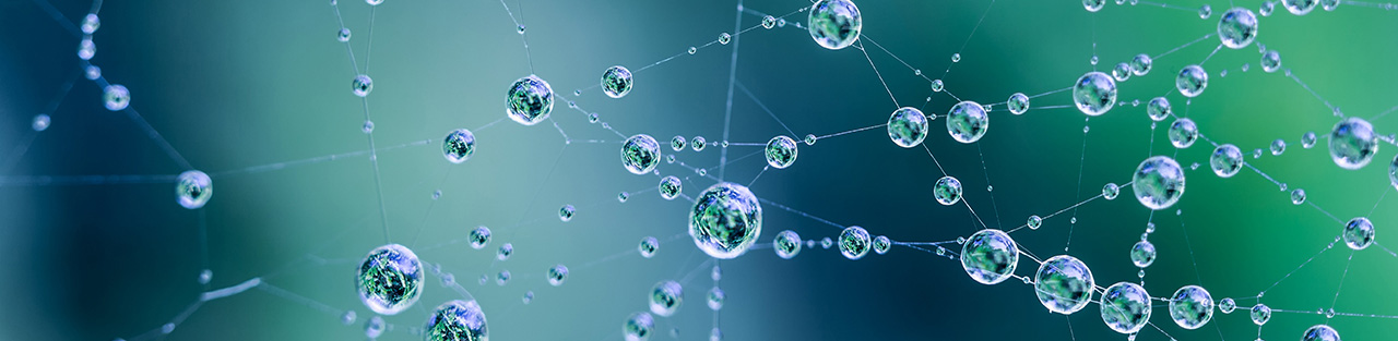 SETTING STANDARDS FOR SUCCESS