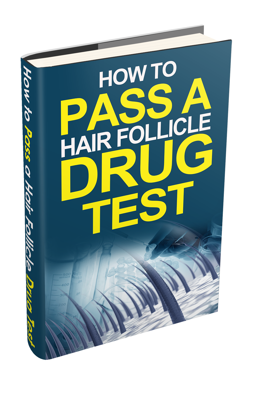 Connecticut Drug Testing Law – Pass a Hair Follicle Drug Test